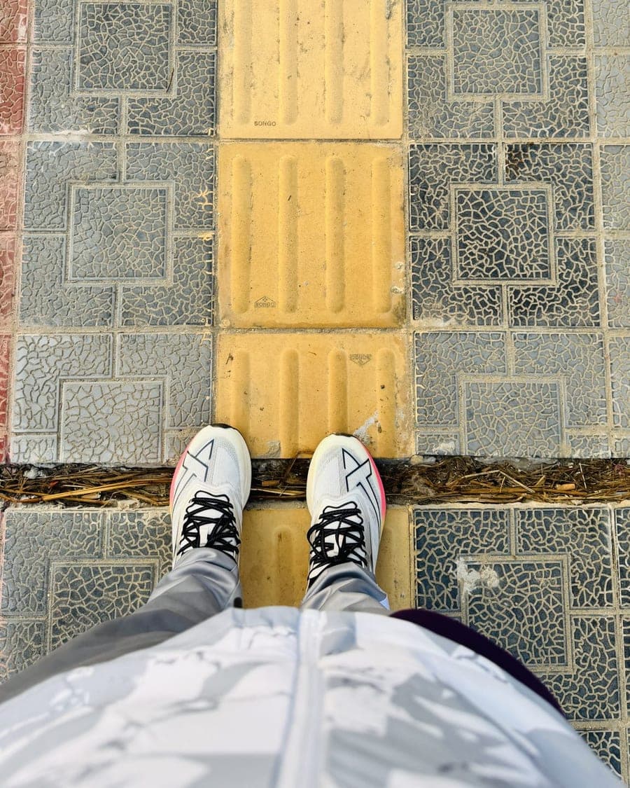 Canvas Court Sneakers