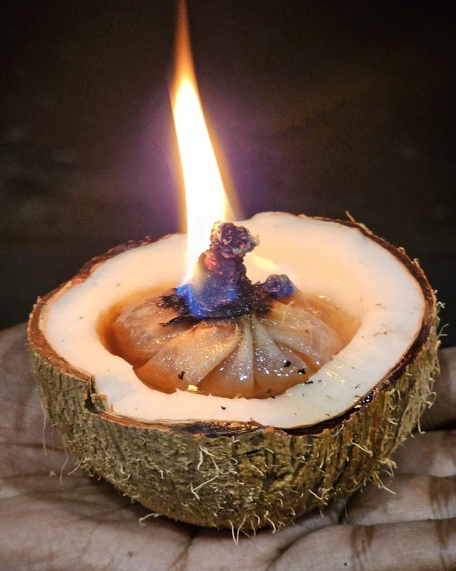 Coconut Cooking Oil